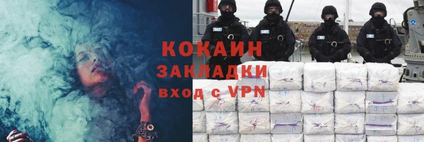 соль ск Арсеньев