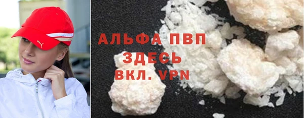 ешки Аркадак