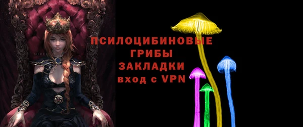 ешки Аркадак