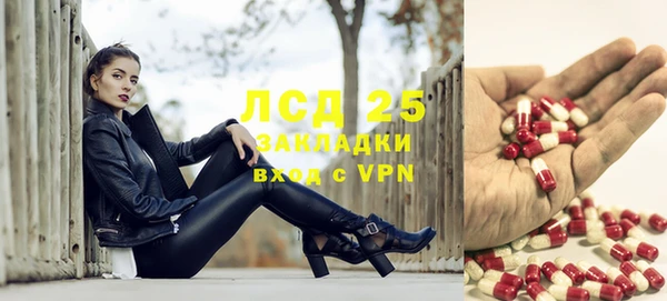 соль ск Арсеньев